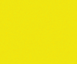 Chobham Adventure Farm - Creative Sessions