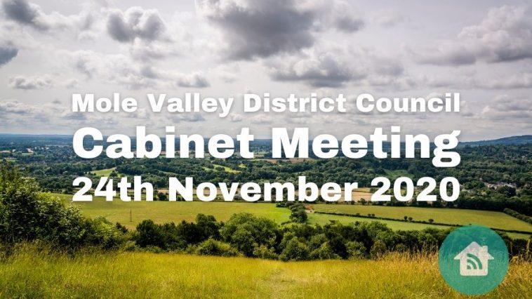 Mole Valley Cabinet Meeting 24th November 2020 12 Surrey Residents Network Mole Valley Cabinet Meeting 24th November 2020