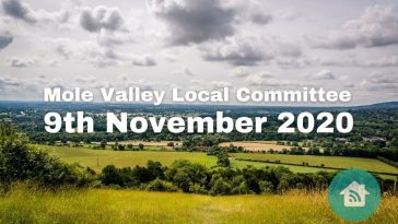 Mole Valley Local Committee 9th December 2020
